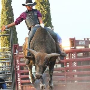 Meet your Posher, Joyce